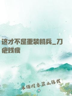 这才不是重装机兵