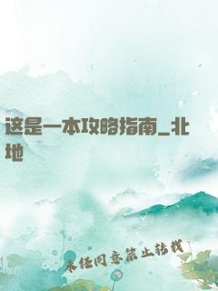 这是一本攻略指南
