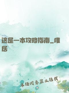这是一本攻略指南
