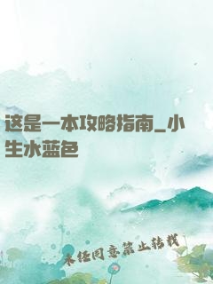 这是一本攻略指南