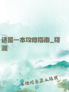 这是一本攻略指南
