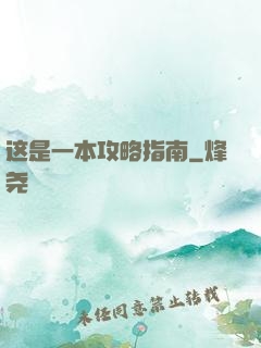 这是一本攻略指南