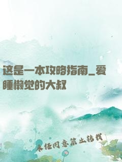这是一本攻略指南