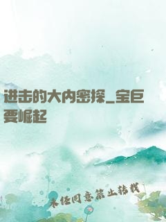 进击的大内密探