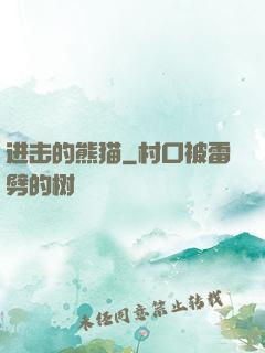 进击的熊猫