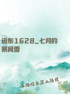 远东1628