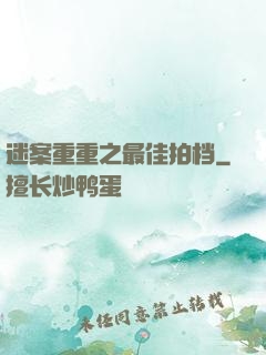 迷案重重之最佳拍档