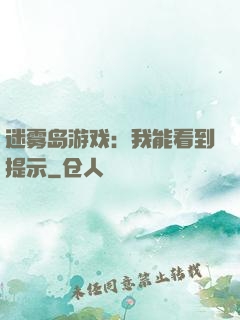 迷雾岛游戏：我能看到提示