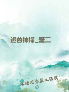 追凶神探