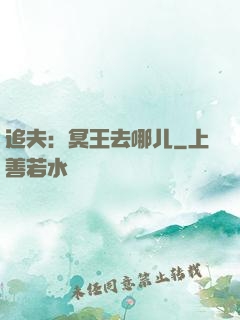 追夫：冥王去哪儿