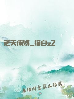 逆天废婿