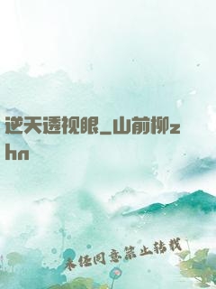 逆天透视眼