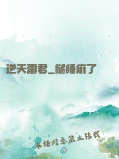 逆天雷君