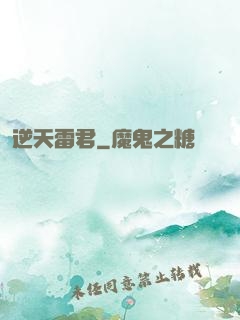 逆天雷君