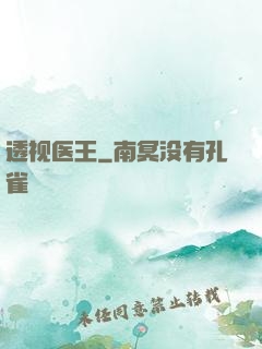透视医王