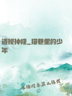 透视神瞳