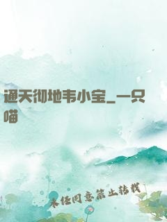 通天彻地韦小宝