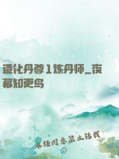 造化丹尊1炼丹师