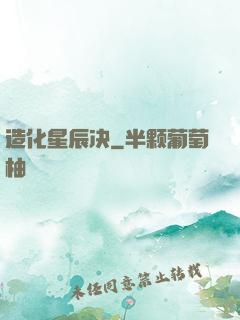 造化星辰决