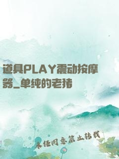 道具PLAY震动按摩器