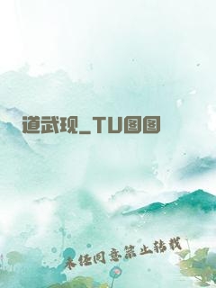 道武现