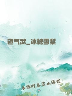 道气武