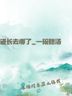 道长去哪了