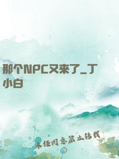 那个NPC又来了
