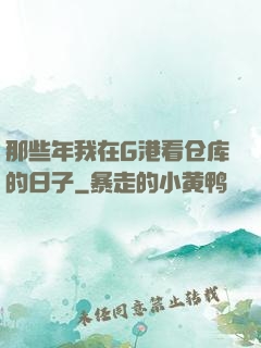 那些年我在G港看仓库的日子
