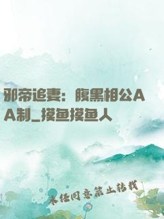 邪帝追妻：腹黑相公AA制