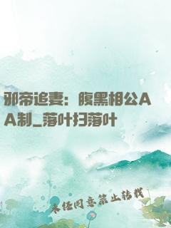 邪帝追妻：腹黑相公AA制