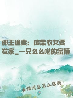 邪王追妻：废柴农女要发家