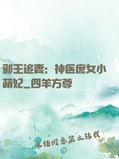 邪王追妻：神医庶女小萌妃