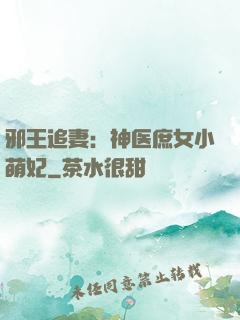 邪王追妻：神医庶女小萌妃