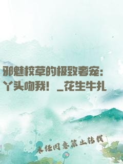 邪魅校草的极致奢宠：丫头吻我！