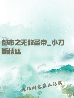 都市之无敌圣帝