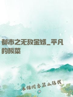 都市之无敌金婿