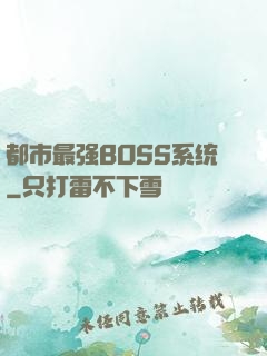 都市最强BOSS系统