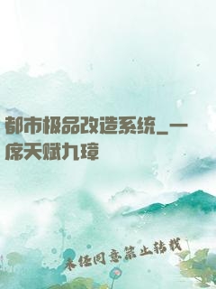 都市极品改造系统