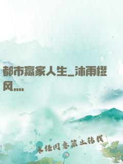 都市赢家人生