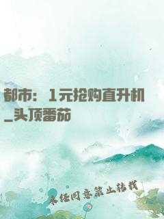 都市：1元抢购直升机
