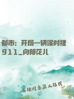 都市：开局一辆保时捷911
