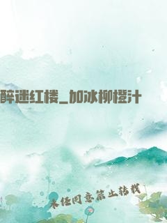 醉迷红楼