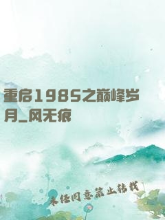 重启1985之巅峰岁月
