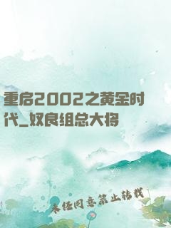 重启2002之黄金时代