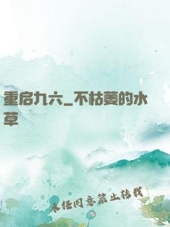 重启九六
