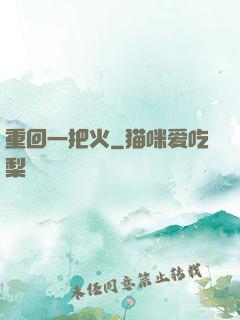 重回一把火