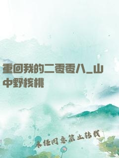 重回我的二零零八