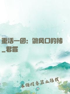 重活一回：做风口的猪