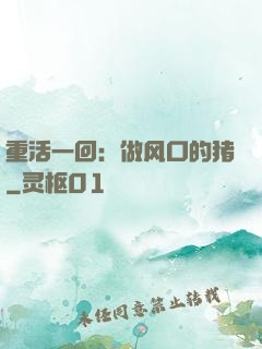 重活一回：做风口的猪